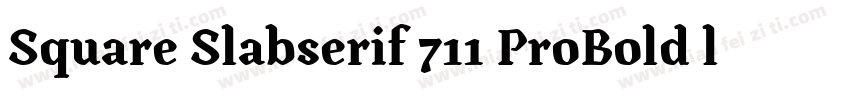 Square Slabserif 711 ProBold ltalic字体转换